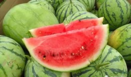 今日吃瓜全集完整版